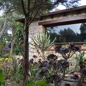 Giardino Degli Ulivi Ferienhaus